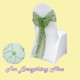 Organza Sashes Hire